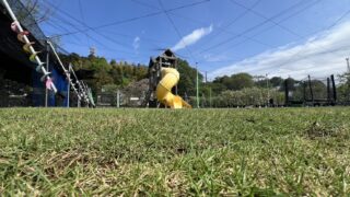 4月25日より約1か月間キッズエリア芝生の養生期間とさせていただきます